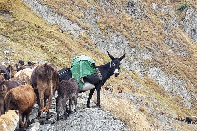 Kazbegi MOUNTAIN Tour (GLORY OF THE NATURE) + MANY NEW LOCATIONS - Ananuri Fortified Castle Ensemble: Eristavi and the postcard walls