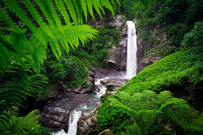 Lagodekhi - A day hiking from Tbilisi - Timing That Works: A Full Day, Not a Quick Stroll
