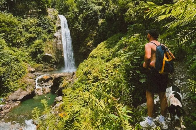 Lagodekhi - A day hiking from Tbilisi - Guide Styles That Matter on a Forest Trail