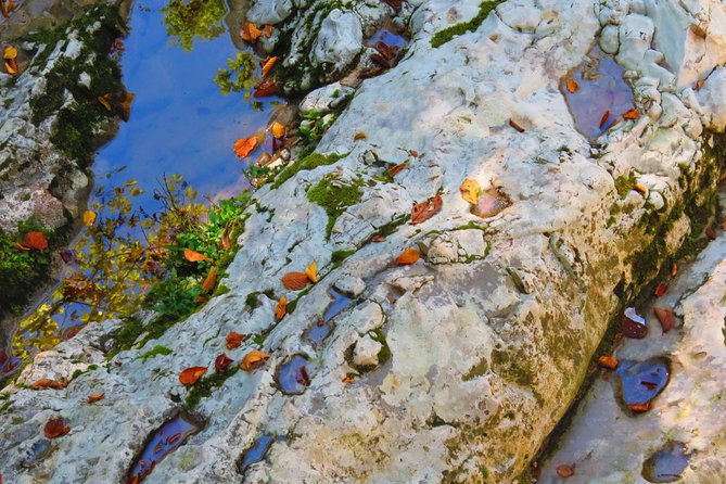 Martvili Canyon and Hanged Bridges of Okatse - Okatse Canyon Hanging Bridges: The Walk, the Choice, and the Best Way to Manage It