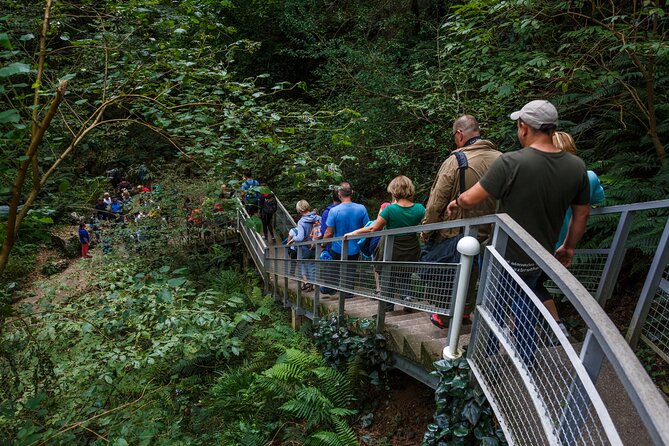 Martvili canyon & Prometheus Cave group tour from Tbilisi - What to expect in terms of physical effort
