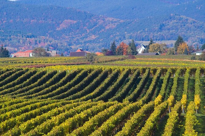 Mtskheta and Jvari UNESCO Private Tour - Price and Logistics That Actually Make Sense