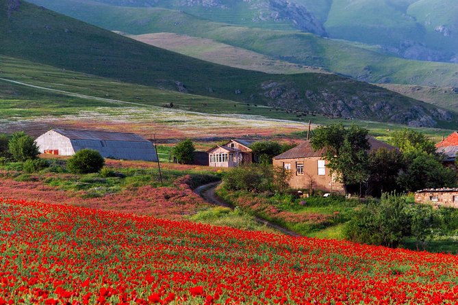 Mtskheta,Jvari,Gori,Uplistikhe(private tour) - Who this tour fits best, and who may want a different plan