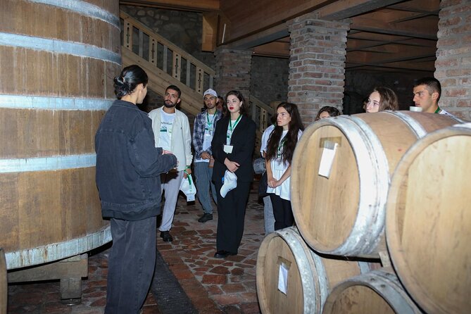 One Day Kakheti Tour with Wine Tasting and Free Churchkhela - Guide Quality Makes This Day Click (Marie, Levan, VESO)