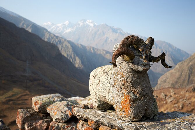 Private day trip to the Caucasus mountains and the Russian border - Gudauri Ski Resort and the Optional Cross-Gorge Ski Lift