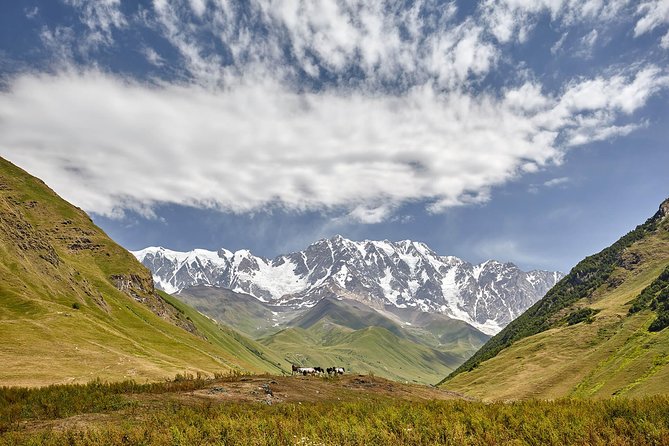 Private five days tour to Svaneti-Mestia, Ushguli, Becho,Chalaadi - Price and value for a private 5-day Svaneti experience