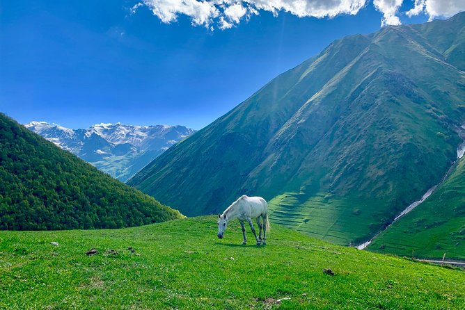 ️Private Full-Day Tour to Mtskheta and Kazbegi(stepantsminda) from Tbilisi - Private comfort from Tbilisi to the Mtskheta and Kazbegi route