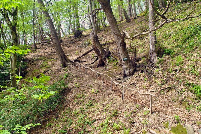 Private Hiking Tour to Machakhela National Park from Batumi - Who will enjoy this private hike most