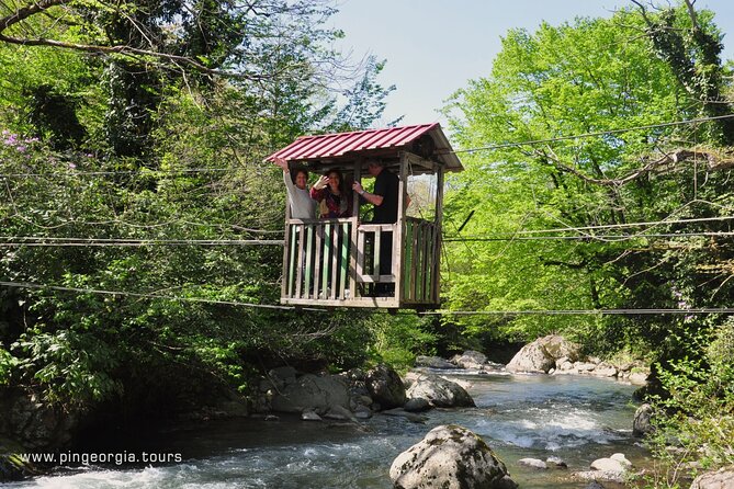 Private Hiking Tour to Mtirala National Park from Batumi - Mtirala National Park Hike: Easy 6 km, Real Scenery