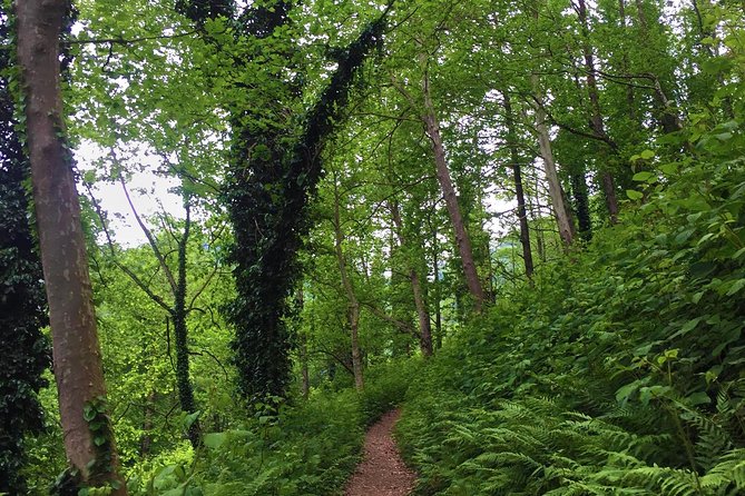 Private Hiking Tour to Mtirala National Park from Batumi - Swim Spots and Safety: Let the Guide Handle the Unknown