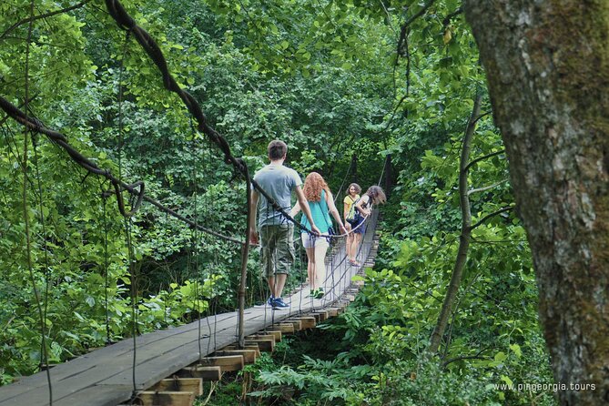 Private Hiking Tour to Mtirala National Park from Batumi - Cable Car Included, Zip-line Optional (Don’t Pay Twice)