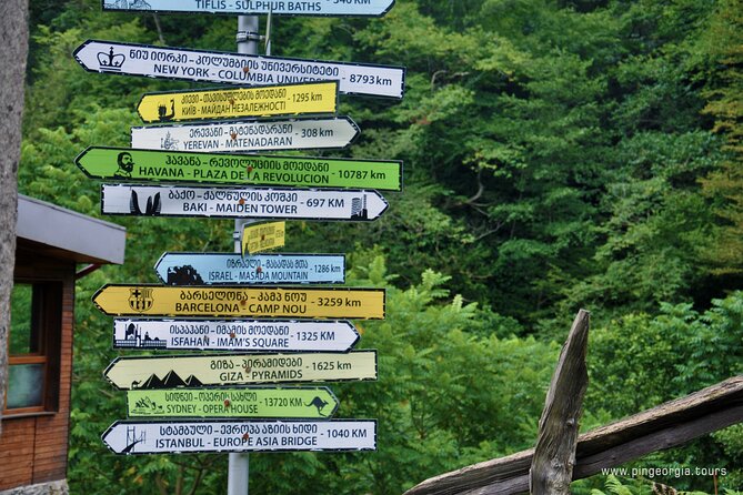 Private Hiking Tour to Mtirala National Park from Batumi - Timing That Works for a Half-day in Batumi