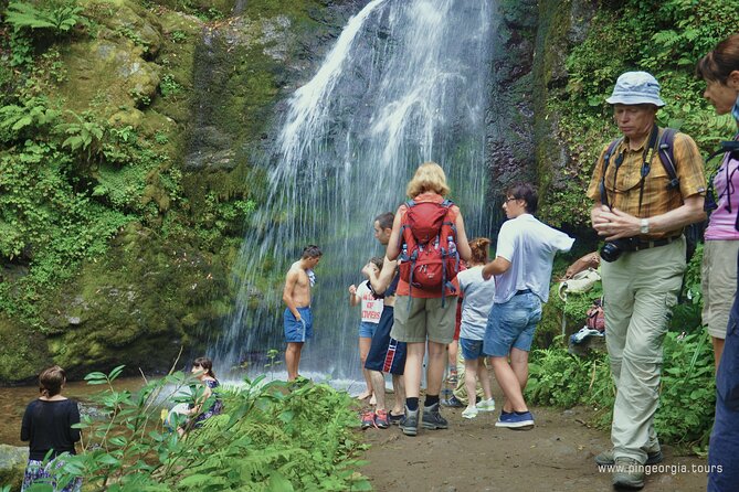 Private Hiking Tour to Mtirala National Park from Batumi - Price and Value: Why $42.14 Can Make Sense