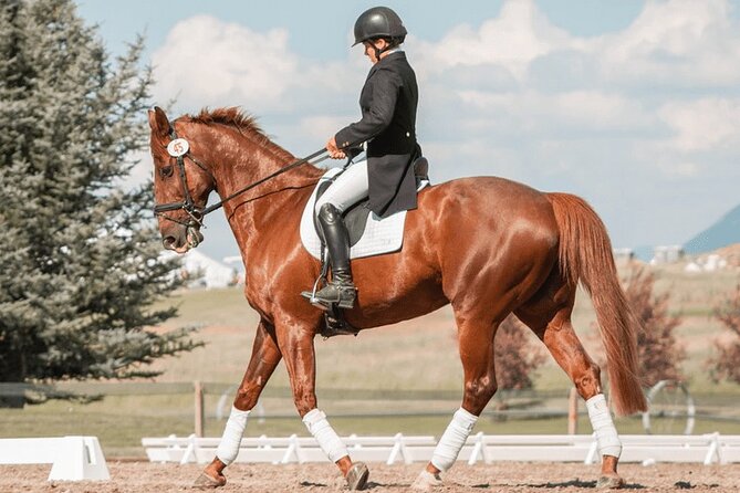 Private Horse Ridding tour - Key highlights that matter before you go