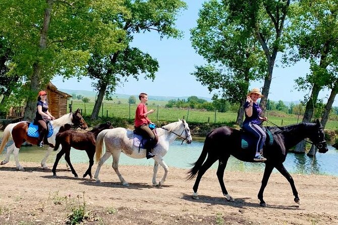 Private Horse Ridding tour - Kakheti Highway to Lilo Mall: where this ride actually starts
