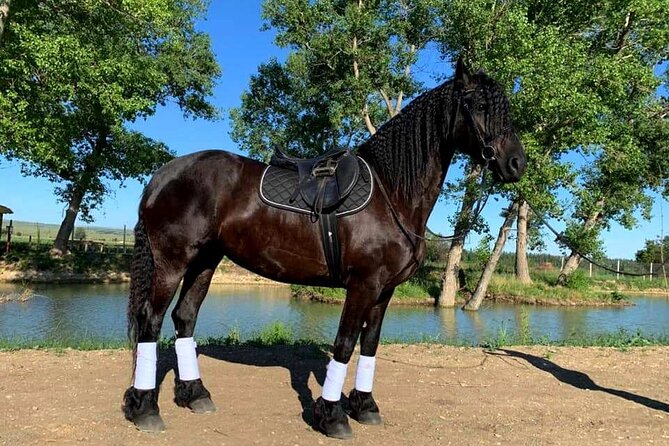 Private Horse Ridding tour - What is included in the price, and what you must plan for