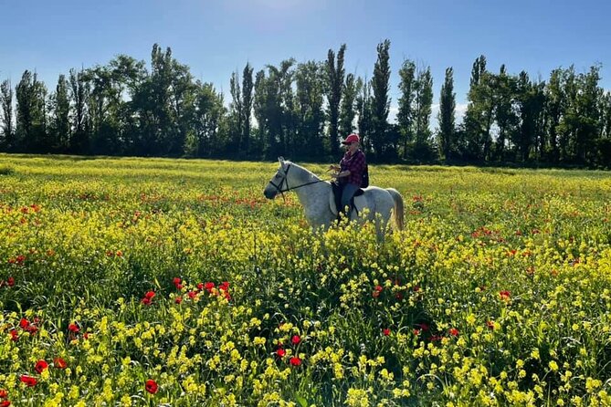 Private Horse Ridding tour - Bringing the right expectations for a short ride