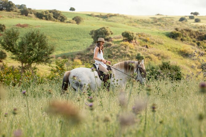 Private Horse Riding Adventure in Tbilisi - Why This Private Tbilisi Horse Ride Makes Sense