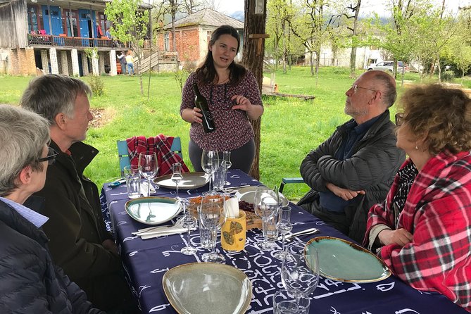 Private Organic Wine Tour from Kutaisi, 2 Tastings and Lunch - Stop 1, Mshvenieradze winery and the Qvevri cellar introduction