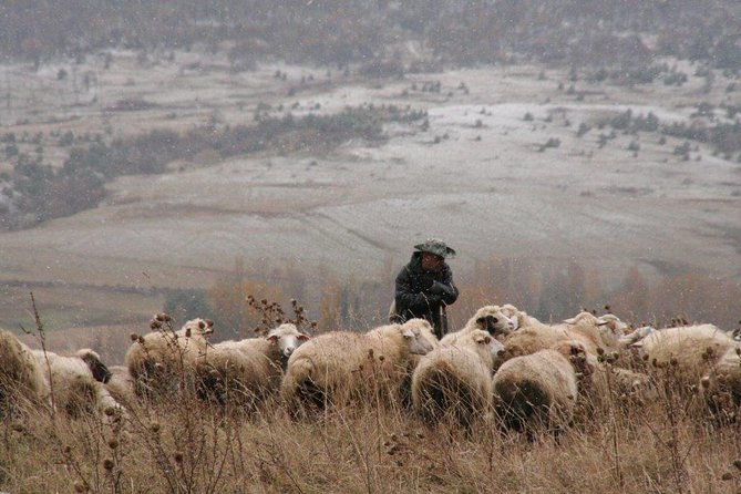 Private Tour to Kazbegi from Tbilisi - Key Highlights You’ll Actually Feel