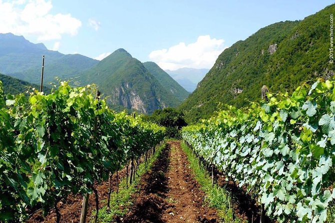 Private Tour to Mtskheta and Georgian Wine Tasting from Tbilisi - Price and Time: Getting the Best Value from 7 Hours