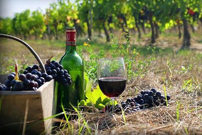 Private Wine Tour to Kakheti from Tbilisi - Tsinandali Palace: the 19th-century comeback story behind the first sip