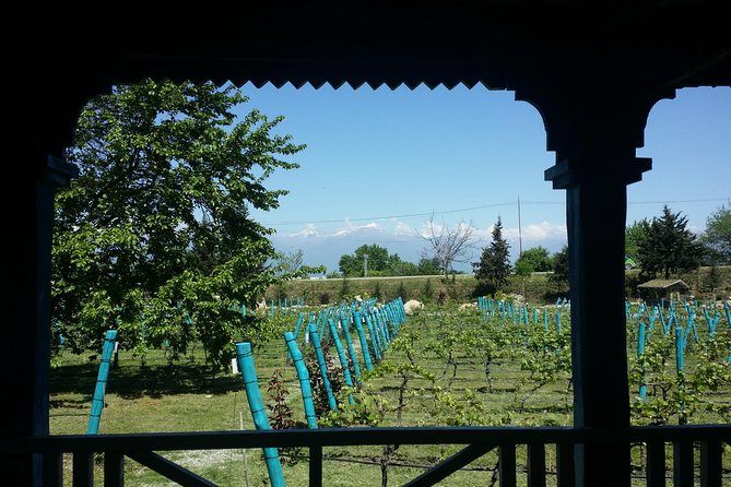 Private Wine Tour to Kakheti from Tbilisi - The Gombori Pass drive: a scenic day opener (and winter check)