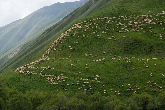 Round-Trip Bus Transfer to Truso Valley from Kazbegi - Key things to know before you go