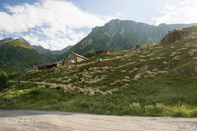 Round-Trip Bus Transfer to Truso Valley from Kazbegi - Okrokana to the first canyon stretch: where the hike starts slow
