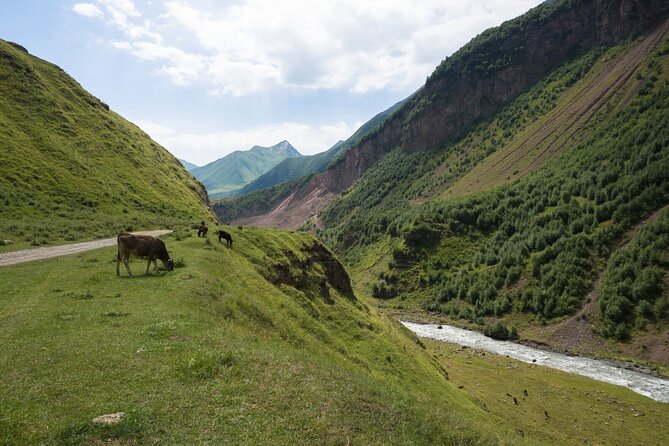 Round-Trip Bus Transfer to Truso Valley from Kazbegi - Truso Valley highlights on the way: canyon views, Ketrisi, and two monasteries