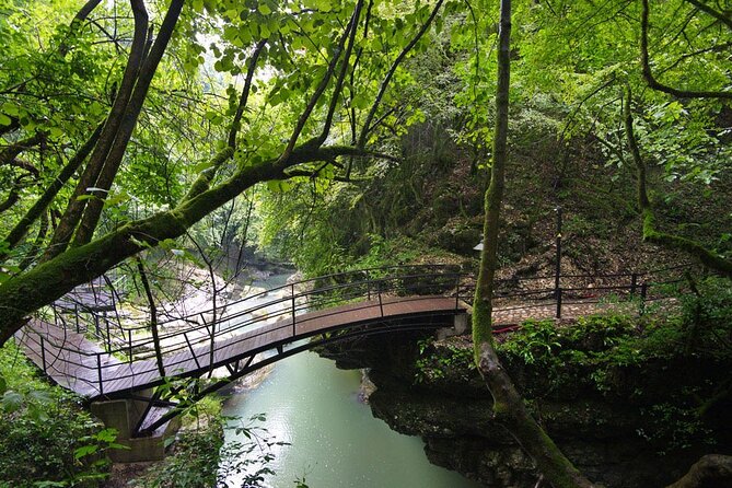Sabaduri forest, Chronicles of Georgia, wolves and bears Zoo - Who this Sabaduri forest, wildlife, and UNESCO day suits best