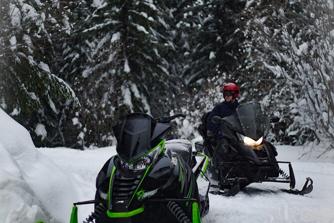 Ski & Snow Tour to Bakuriani from Kutaisi with Borjomi Stop - Key Highlights You Should Know