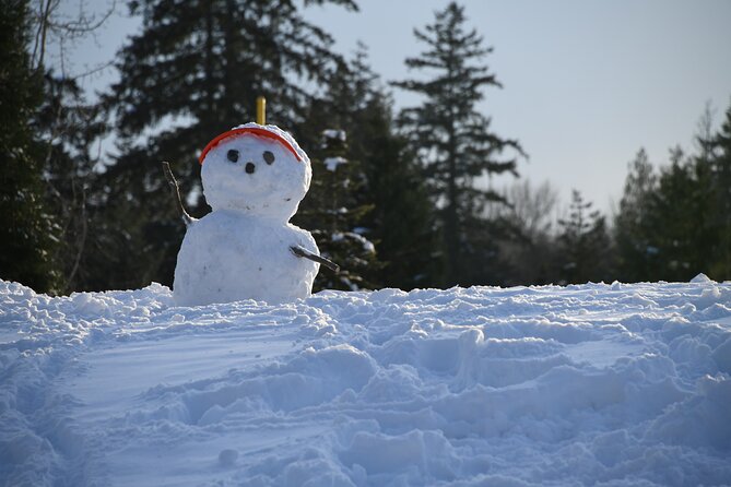 Ski & Snow Tour to Bakuriani from Kutaisi with Borjomi Stop - Should You Book This Ski and Snow Tour from Kutaisi?