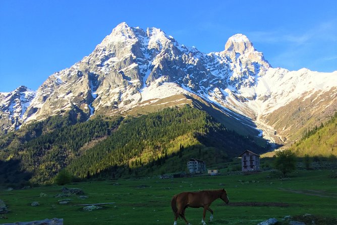 Svaneti Mountain Villages 4x4 Safari, tour from Kutaisi - Key highlights you should care about