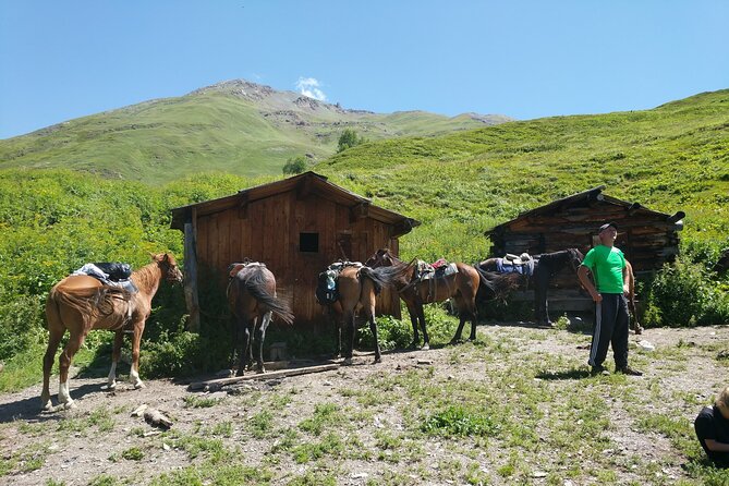 Svaneti Mountain Villages 4x4 Safari, tour from Kutaisi - Fitness level and comfort: what you should realistically prepare for