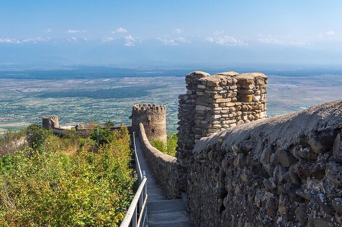 Taste of Kakheti: Wine Tour Bread Baking & Churchkhela Workshop - Stop 4: Telavi’s Giant Plane Tree, Quick Photos With Real View Power