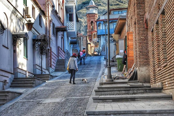 Tbilisi Private Arrival Airport Transfer - Who should book this transfer, and who might want something else