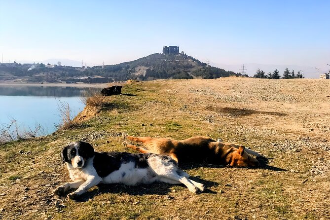 Tbilisi: Sabaduri Forest, Georgian Stonehenge & Bear Sanctuary - Chronicle of Georgia: the Georgian Stonehenge feeling