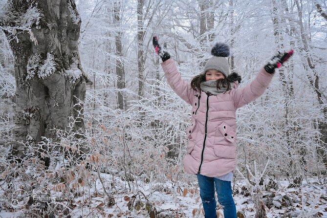 Tbilisi: Sabaduri Forest, Georgian Stonehenge & Bear Sanctuary - What to bring for a comfortable winter day