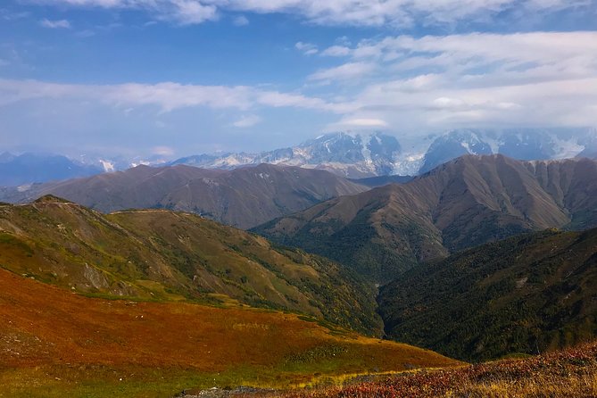 The Best of Georgia 7 Days Private Jeep Tour from Tbilisi - Day 4: Batumi Botanical Gardens and the Enguri Reservoir