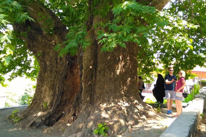 Tour to Kakheti. Sighnaghi –Bodbe Monastery –Tsinandali –Telavi –Winery –Gombori - Tsinandali Palace Museum-Estate: Prince Chavchavadze Gardens and One Extra Ticket