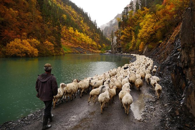 Trekking Tour from Tusheti to Khevsureti via Atsunta Pass - Days 2 and 3 in Tusheti: Dartlo, Kvavlo, Chesho, Parsma, Girevi