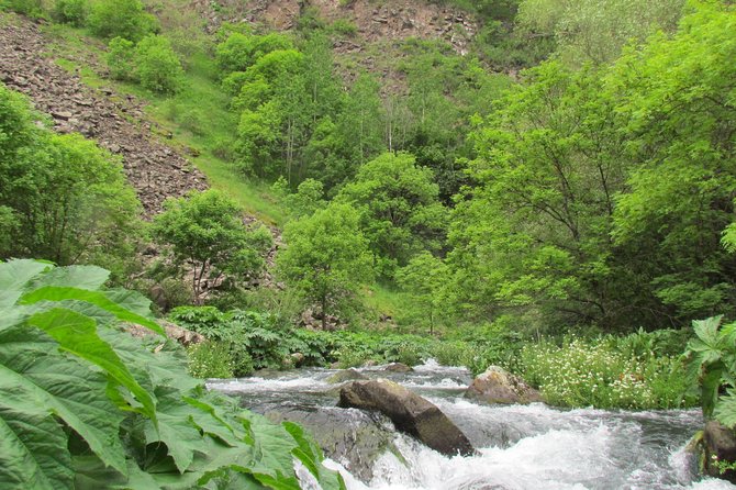 Trip to The Diamond Bridge and Dashbashi Canyon - Stop 3: Mtatsminda Funicular, an easy ride to city views