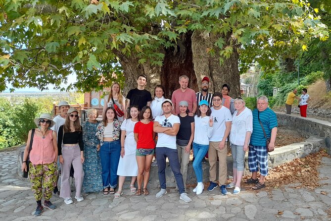 Whole day Wine Tour to Kakheti from Tbilisi - Sighnaghi: romantic streets, city walls, and the Alazani Valley payoff