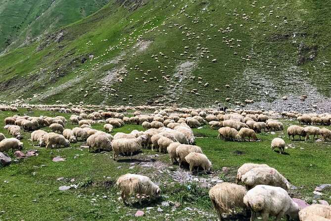 Wild Georgia 4WD PACK Adventure through Kakheti and Kazbegi 2in1 - Meals, wine tastings, and where your money will go
