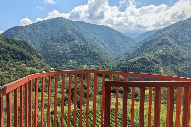 Wine and Dine Tour To Batumi Waterfalls - Mountainous Adjara - Shervashidze Wine Cellar: tasting, traditional food, and folklore dance