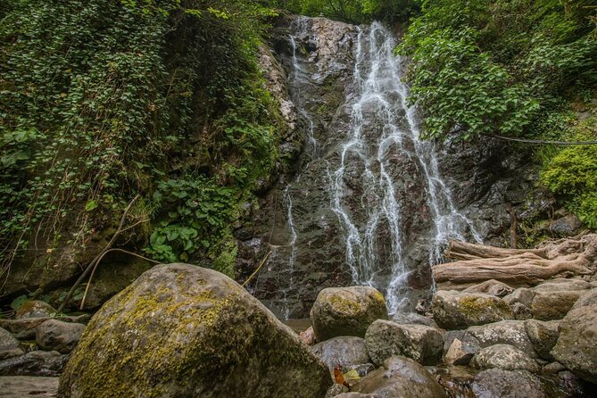 Wine and Dine Tour To Batumi Waterfalls - Mountainous Adjara - Timing tips that make the day easier