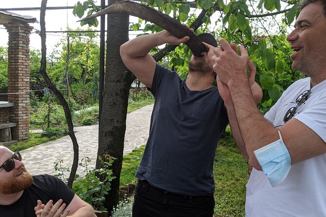 Wine Tasting Tour in Georgia's Cradle of Wine - Why This Kakheti Wine Tour Works in Real Life